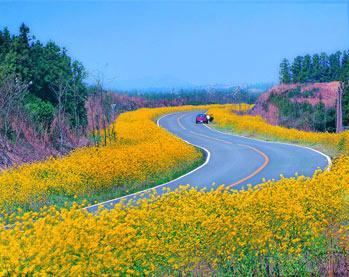 济州岛一、二月天气、气温_济州岛一、二月旅