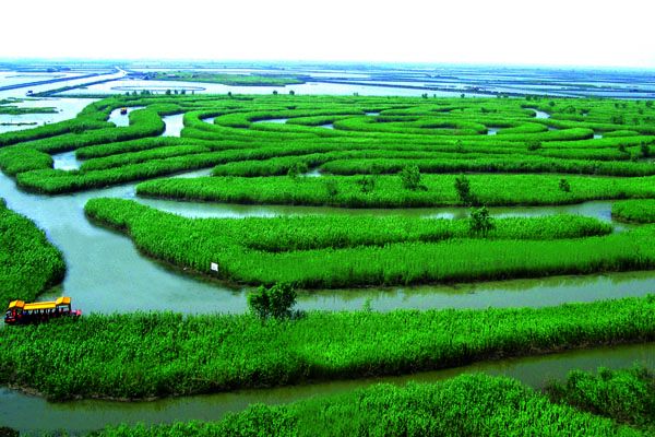 盐城好玩吗_盐城有哪些地方好玩