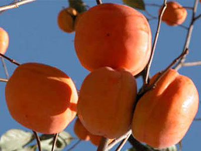 北京特产有哪些_北京旅游纪念品有什么