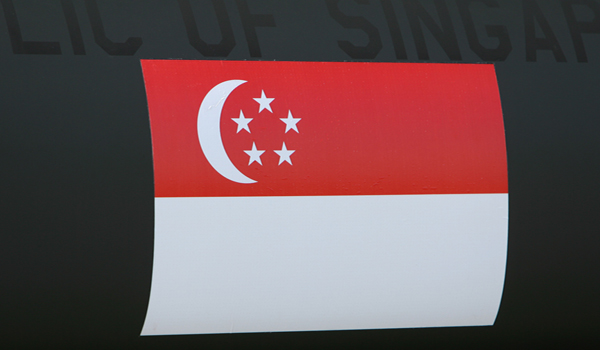 新加坡国立大学_新加坡人均消费水平(2)