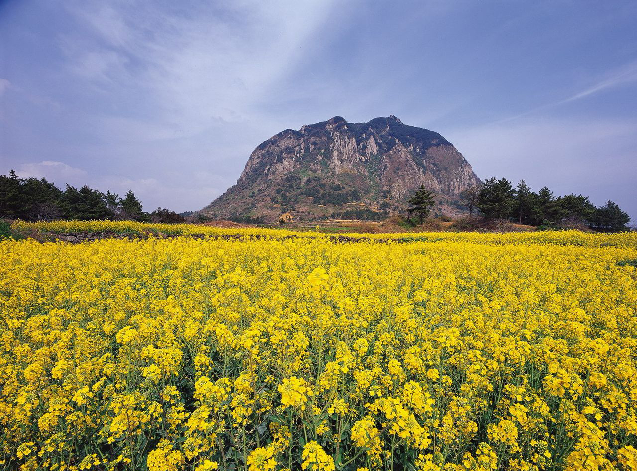 去济州岛旅行需要带什么,到济州岛旅游要带的