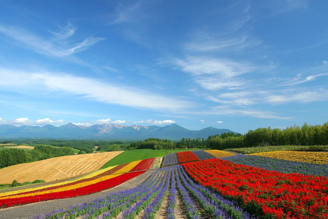 世界最美的地方