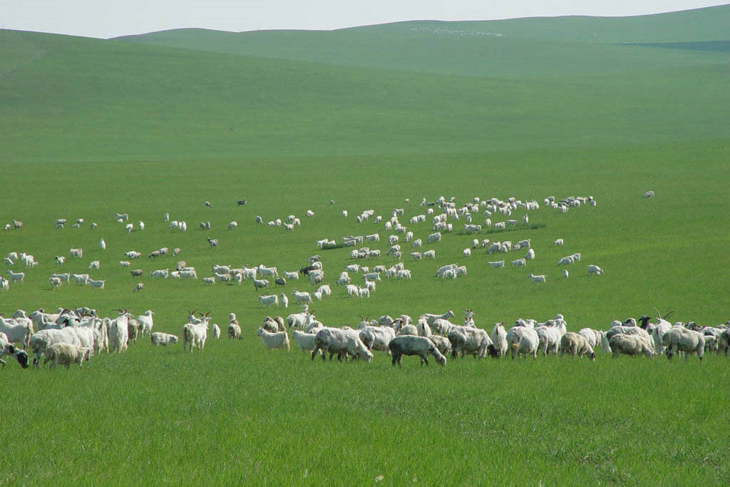 呼和浩特周边有哪些好玩的地方呢?