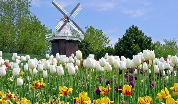 荷兰9,10月份旅游天气_温度_九月,十月去荷兰