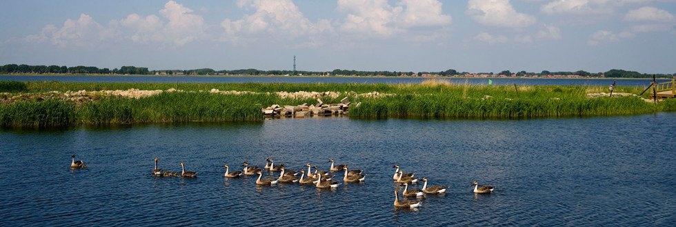 哈尔滨周边有哪些好玩的地方呢?