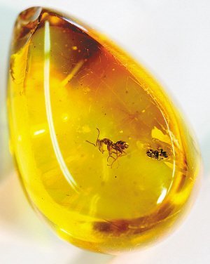 土耳其特产有哪些_土耳其有什么特产