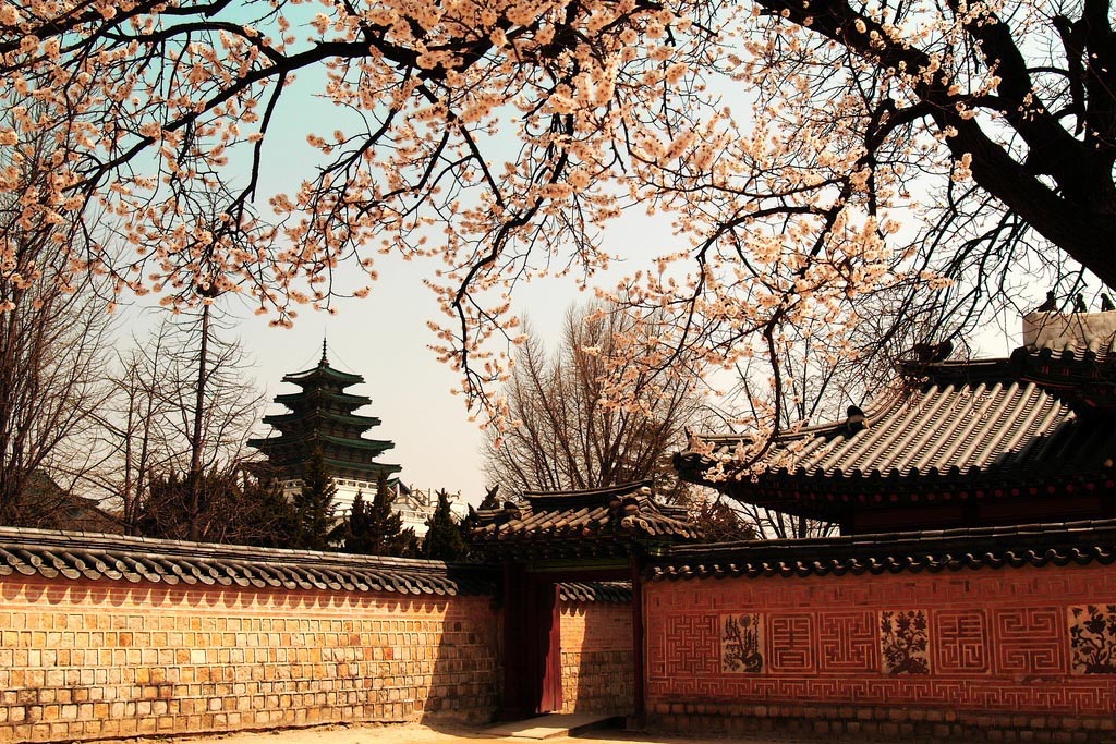 韩国首尔旅行须知