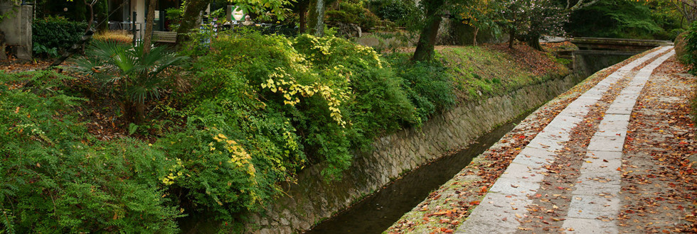 东京周边有哪些好玩的地方呢?--京都