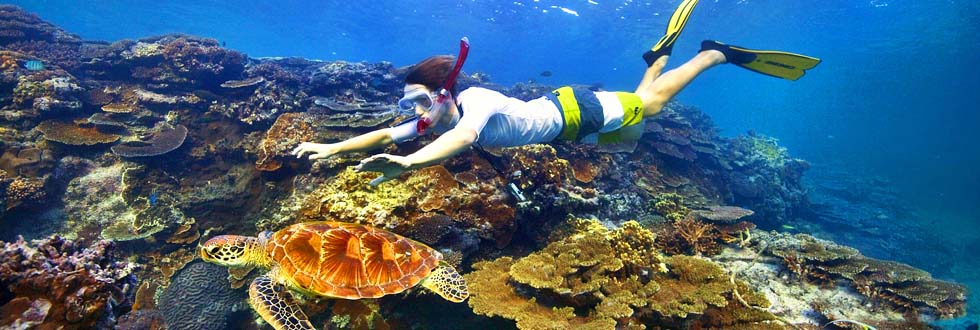 堪培拉周边有哪些好玩的地方呢?--布里斯班