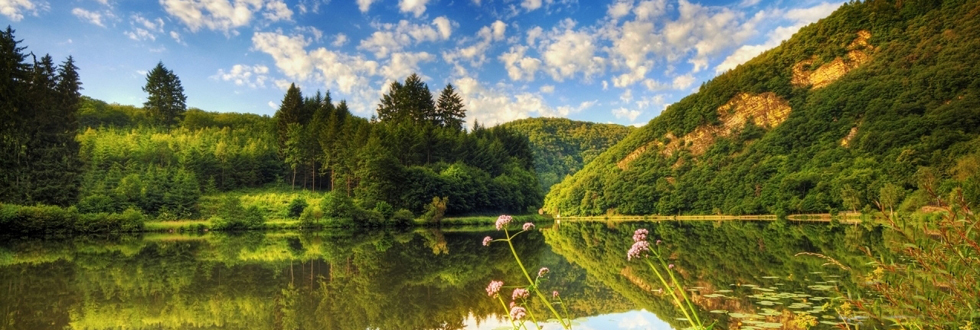 奥克兰周边有哪些好玩的地方呢?--基督城