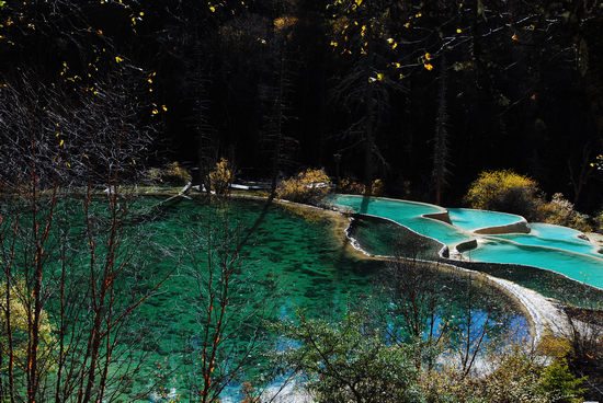 四川九寨神仙池风景区正式对外营业 首次迎来
