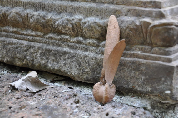 越柬港简朴小资游 - 飞扬旅游网
