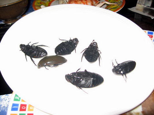 谈谈四海一家自助餐