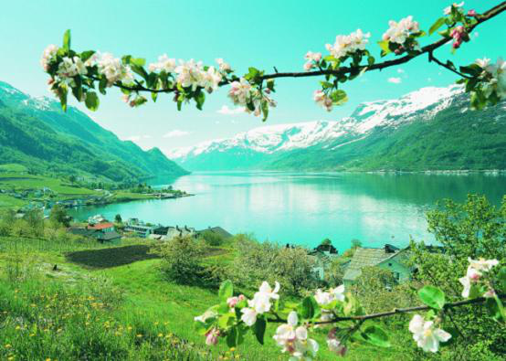 挪威--哈当厄尔峡湾浪漫之旅