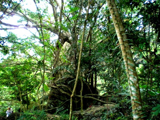 蝴蝶谷) (蜈支洲碧海) (蜈支洲白沙) (滨海城市风韵 ...