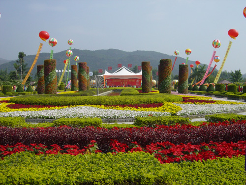 免费2013漳州花博会门票免费时间漳州花博会开放夜场